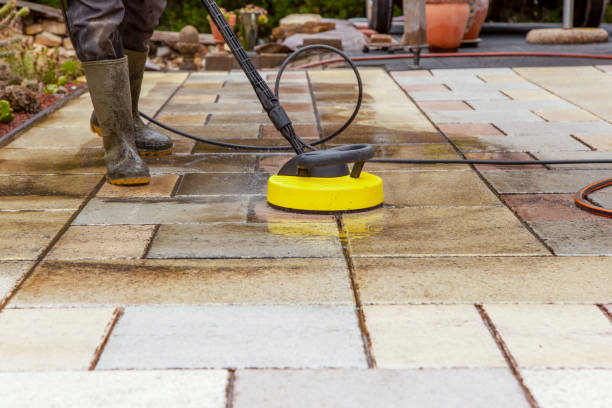 Best Roof Washing  in Faribault, MN